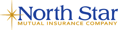 NS-logo-Color 1